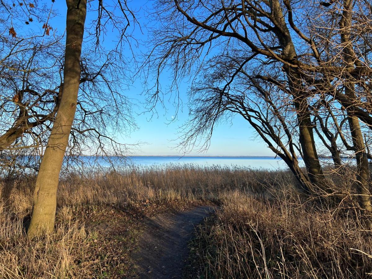 Reet Und Meer Beckerwitz Hohenkirchen  Экстерьер фото