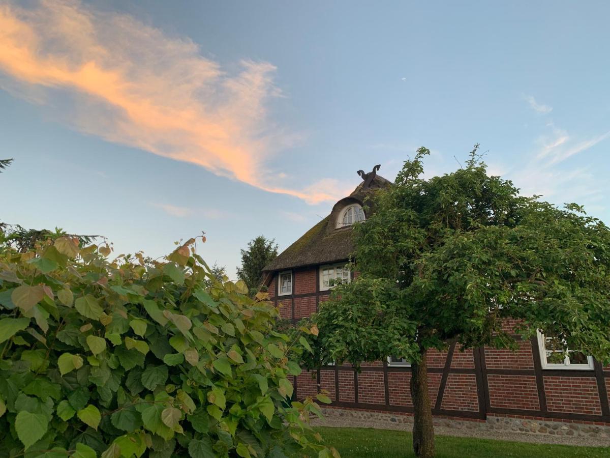Reet Und Meer Beckerwitz Hohenkirchen  Экстерьер фото